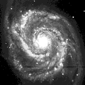 M51